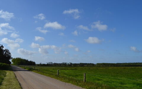 Helline - 900M from the Sea: Thatching, Cottage, House, Roof, Home, Farmhouse, Hut, Estate, Village