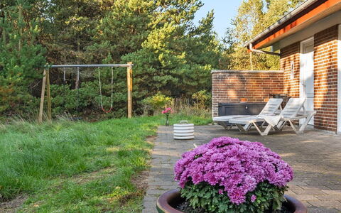 Reinbald - 1Km from the Sea: Garden, Shrub, Groundcover, Spring, Shade, Backyard, Landscaping, Yard, Lawn