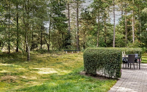 Troen - 3.8Km from the Sea: Tree, Green, Grass, Leaf, Vegetation, Shrub, Garden, Land Lot, Plant Community, Groundcover