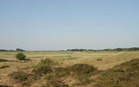 Aswith - 2.3Km from the Sea: Grass, House, Roof, Cottage, Home, Shrub, Farmhouse, Land Lot, Rural Area