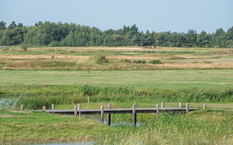 Helvig - 2.3Km from the Sea: House, Cottage, Roof, Garden Buildings, Shade, Shed, Backyard, Outdoor Furniture, Yard, Lawn