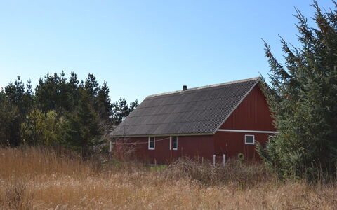 Kabbi - 2.6Km from the Sea: Building, House, Window, Home, Roof, Residential Area, Shrub, Cottage, Land Lot
