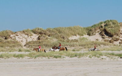 Faidra - 2.5Km from the Sea