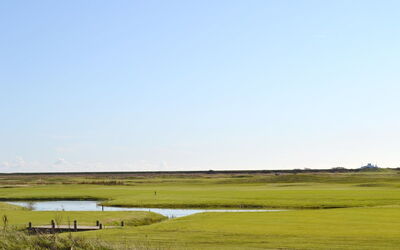 Faidra - 2.5Km from the Sea