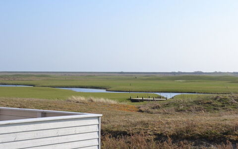 Jasna - 2.3Km from the Sea: Grass, Wood, Rural Area, Shrub, Cottage, Roof, Plain, Land Lot, Home, Groundcover