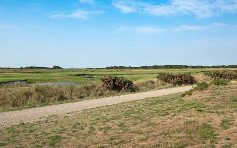 Jovanka - 2.3Km from the Sea: Sky, Blue, Green, Grass, Grassland, Natural Environment, Ecoregion, Natural Landscape, Vegetation, Plain