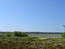 Allin - 1Km from the Sea