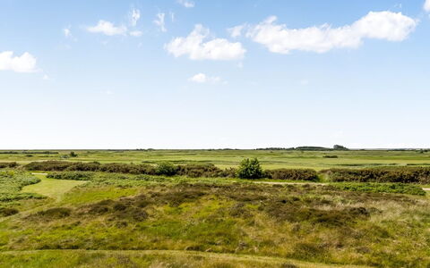 Anelia - 2.3Km from the Sea: Sky, Blue, Grass, Natural Environment, Green, Grassland, Ecoregion, Vegetation, Cloud, Natural Landscape