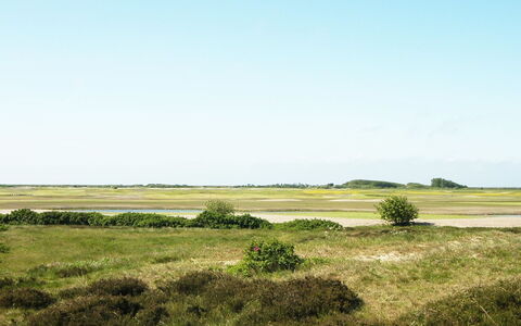 Sighwald - 2.3Km from the Sea: Sky, Green, Grass, Grassland, Natural Landscape, Ecoregion, Vegetation, Plain, Steppe, Prairie