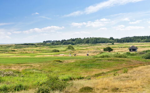 Ønd - 2.5Km from the Sea: Shrub, Urban Design, Groundcover, Brick, Apartment, Estate, Brickwork, Balcony, Landscaping