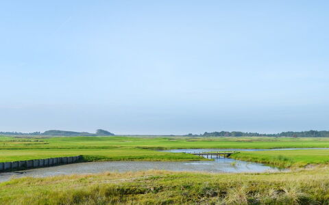 Nayana - 2.3Km from the Sea: Sky, Green, Natural Environment, Natural Landscape, Grassland, Plain, Marsh, Ecoregion, Horizon, Cloud