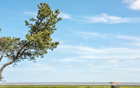 Svanborg - 3.7Km from the Sea: Roof, House, Land Lot, Home, Cottage, Estate, Garden Buildings, Shade, Log Cabin, Landscaping