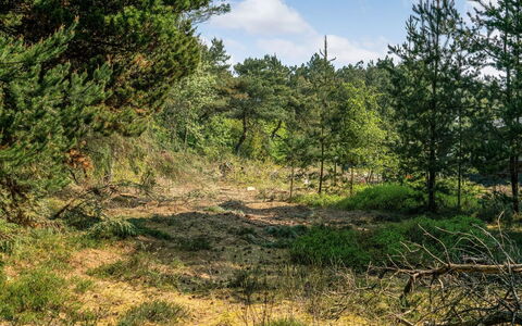 Herborg - 1Km from the Sea: Tree, Natural Environment, Leaf, Vegetation, Forest, Wilderness, Plant Community, Shrub, Ecoregion