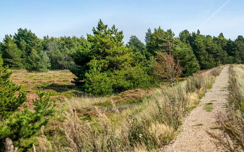 Gabriela - 1Km from the Sea