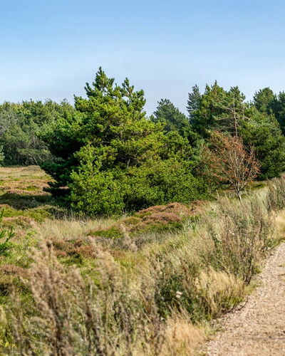Gabriela - 1Km from the Sea