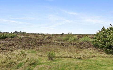Dida - 3.1Km from the Sea: Cottage, Garden, Siding, Garden Buildings, Shade, Yard, Backyard, Lawn, Farmhouse, Landscaping
