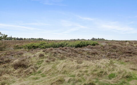 Dida - 3.1Km from the Sea: Cottage, Garden, Siding, Garden Buildings, Shade, Yard, Backyard, Lawn, Farmhouse, Landscaping