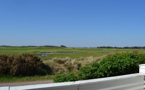 Drita - 2.3Km from the Sea: Sky, Green, Grass, Grassland, Plain, Ecoregion, Land Lot, Steppe, Prairie