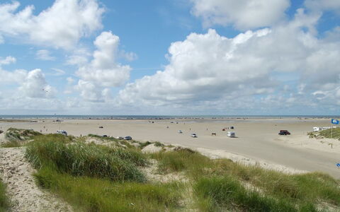 Hermandine - 700M from the Sea