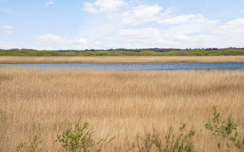 Hermandine - 700M from the Sea