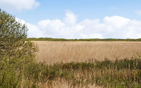 Hermandine - 700M from the Sea