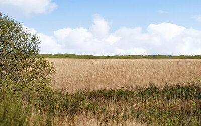 Hermandine - 700M from the Sea