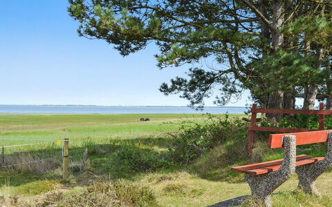 Sedine - 3.9Km from the Sea: Grass, Green, Natural Landscape, Grassland, Summer, Outdoor Bench, Furniture, Sea, Plain, Land Lot