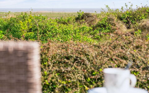 Sedine - 3.9Km from the Sea: Plant Community, Sunlight, Herbaceous Plant, Garden, Plantation, Agriculture, Farm