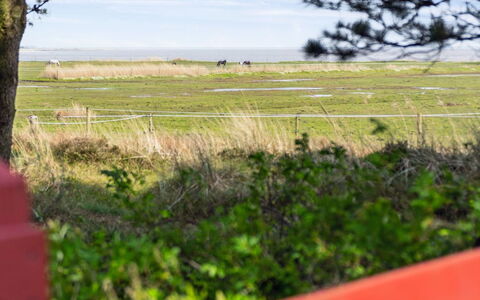Sedine - 3.9Km from the Sea: Plant Community, Sunlight, Herbaceous Plant, Garden, Plantation, Agriculture, Farm