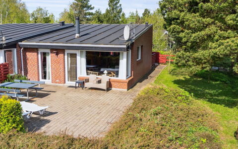 Sedine - 3.9Km from the Sea: Plant Community, Sunlight, Herbaceous Plant, Garden, Plantation, Agriculture, Farm