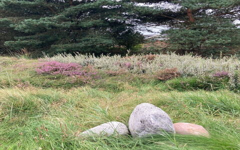 Andriette - 4.5Km from the Sea: Shrub, Urban Design, Groundcover, Brick, Apartment, Estate, Brickwork, Balcony, Landscaping
