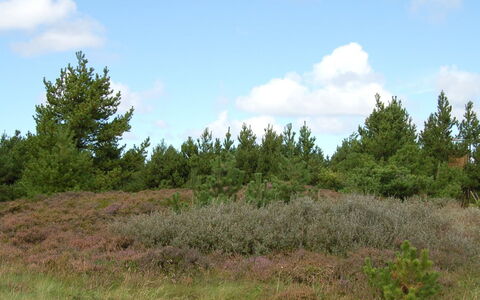 Falki - 2.5Km from the Sea: Building, House, Window, Home, Roof, Residential Area, Shrub, Cottage, Land Lot