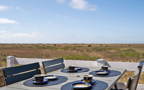 Blomma - 350M from the Sea: Plant Community, Sunlight, Herbaceous Plant, Garden, Plantation, Agriculture, Farm