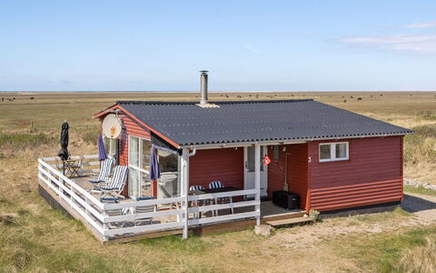 Blomma - 350M from the Sea: Plant Community, Sunlight, Herbaceous Plant, Garden, Plantation, Agriculture, Farm