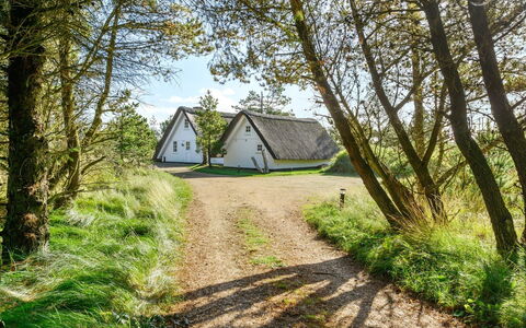 Trana - 2Km from the Sea: Meadow