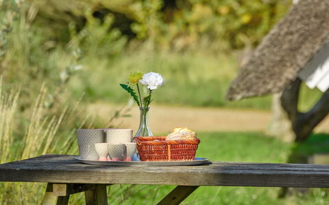 Trana - 2Km from the Sea: Grass, Basket, Wicker, Picnic, Picnic Basket, Spring, Outdoor Furniture, Garden