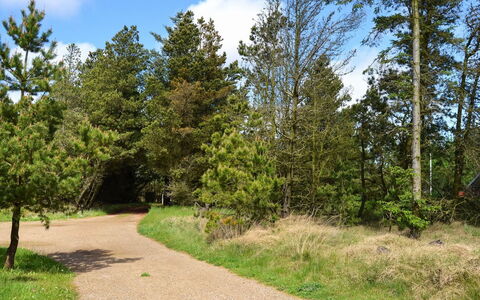 Trana - 2Km from the Sea: Leaf, Tree, Green, Nature, Branch, Vegetation, Natural Landscape, Shrub, Trail, Plant Community