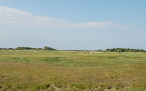 Arabella - 2.3Km from the Sea: Wood, Sea, Cloud, Coastal And Oceanic Landforms, Deck, Ocean, Plank, Boardwalk, Coast, Hardwood