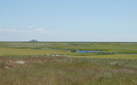Arabella - 2.3Km from the Sea: Wood, Sea, Cloud, Coastal And Oceanic Landforms, Deck, Ocean, Plank, Boardwalk, Coast, Hardwood