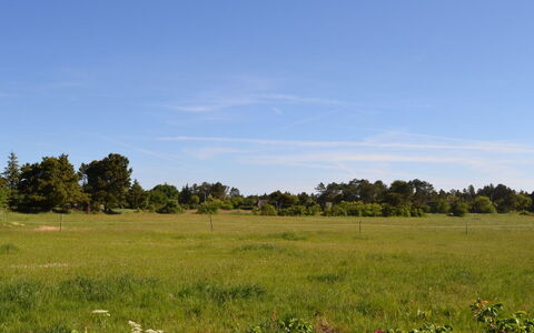 Naili - 3.1Km from the Sea: Blue, Green, Grass, Grassland, Natural Landscape, Vegetation, Plain, Ecoregion, Prairie, Land Lot