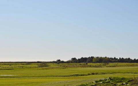 Börge - 3.9Km from the Sea: Furniture, Interior Design, Chair, Flooring, Table, Resort, Floor, Ceiling, Room, Eco Hotel