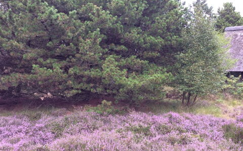 Emilla - 3.8Km from the Sea: Roof, House, Residential Area, Home, Estate, Cottage, Design