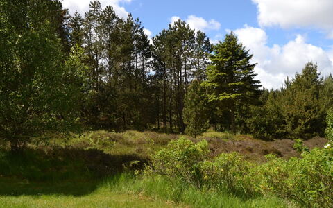 Emilla - 3.8Km from the Sea: Grass, House, Roof, Home, Cottage, Shrub, Land Lot, Rural Area, Farmhouse, Groundcover