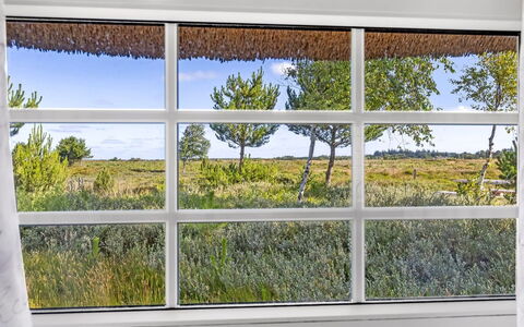 Artan - 2.6Km from the Sea: Grass, Grassland, Landscape, Ecoregion, Plain, Plant Community, Land Lot, Outdoor Furniture, Prairie, Shrubland