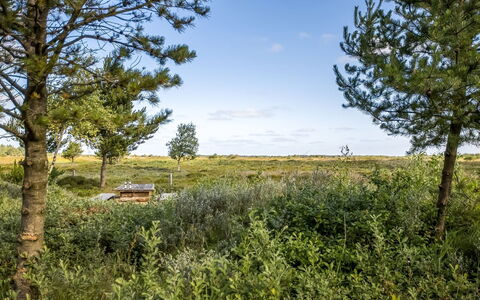 Artan - 2.6Km from the Sea: Grass, Grassland, Landscape, Ecoregion, Plain, Plant Community, Land Lot, Outdoor Furniture, Prairie, Shrubland