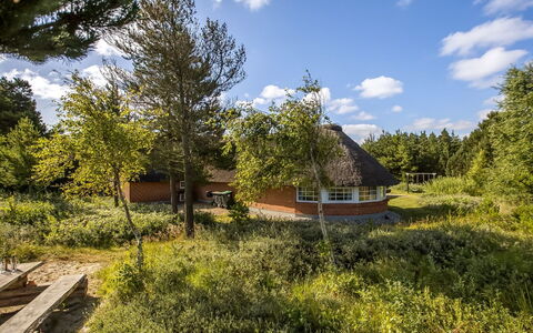 Artan - 2.6Km from the Sea: Grass, Grassland, Landscape, Ecoregion, Plain, Plant Community, Land Lot, Outdoor Furniture, Prairie, Shrubland