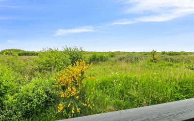 Kylli - 600M from the Sea