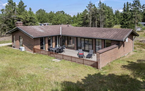 Stojanka - 1Km from the Sea: Plant Community, Sunlight, Herbaceous Plant, Garden, Plantation, Agriculture, Farm