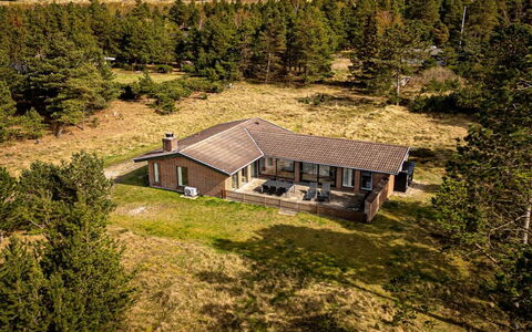 Stojanka - 1Km from the Sea: Plant Community, Sunlight, Herbaceous Plant, Garden, Plantation, Agriculture, Farm