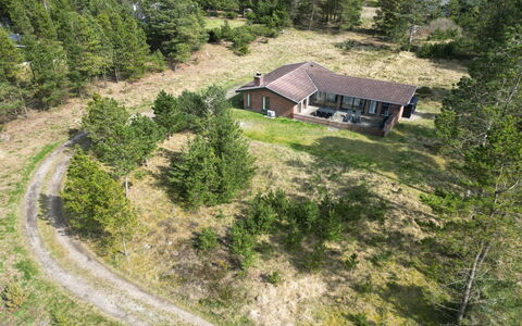 Stojanka - 1Km from the Sea: Plant Community, Sunlight, Herbaceous Plant, Garden, Plantation, Agriculture, Farm